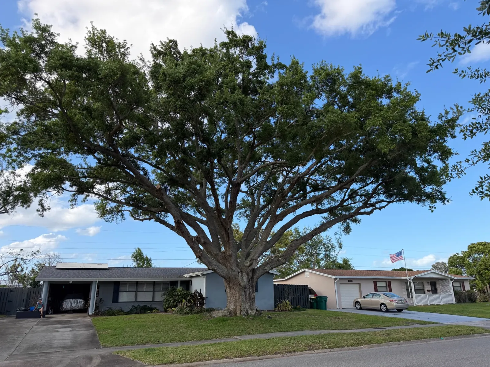 Mature oak over a Brevard County home prepared for storm season