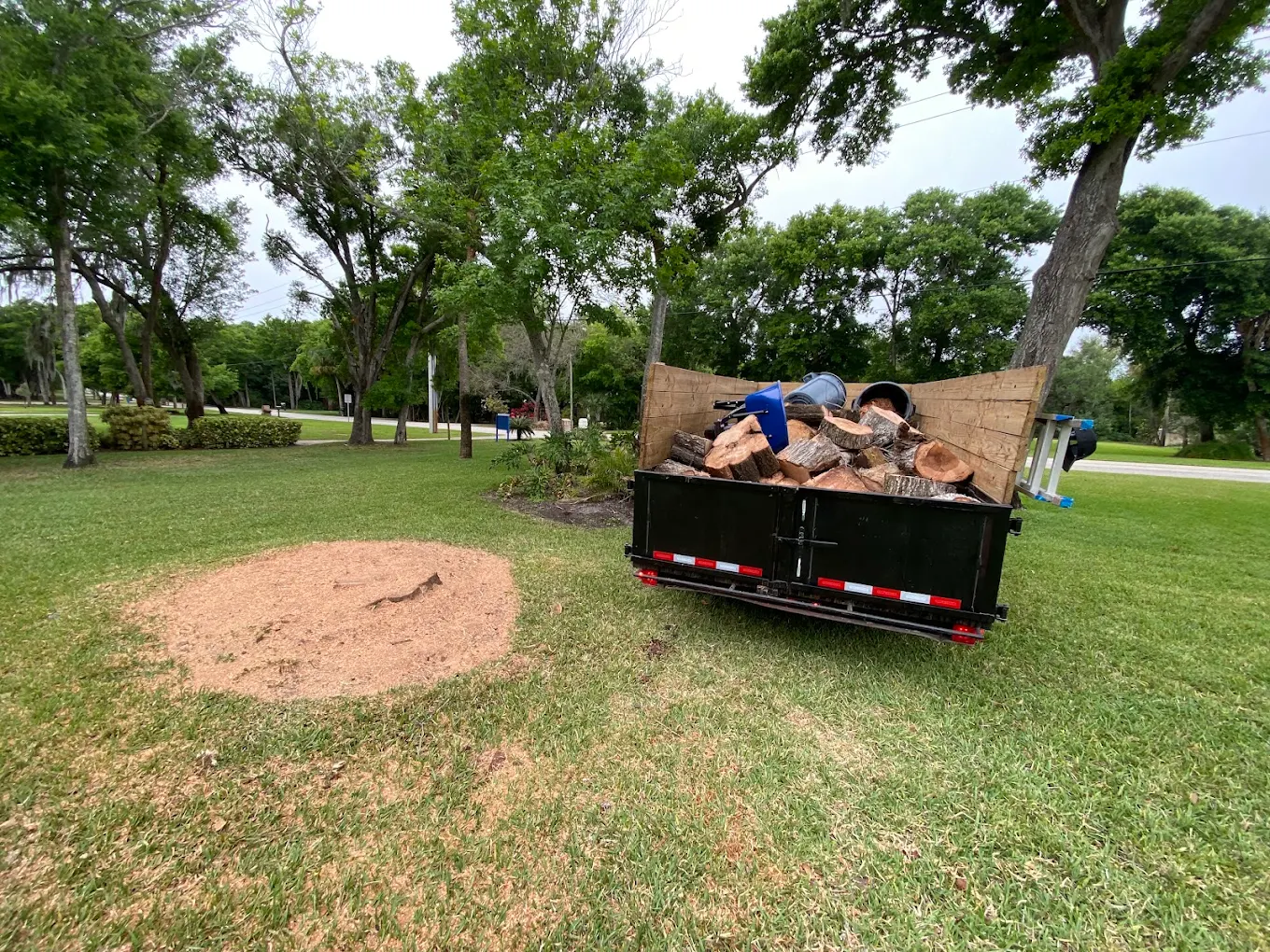 Fresh stump grindings and a loaded log trailer after stump grinding in Melbourne FL