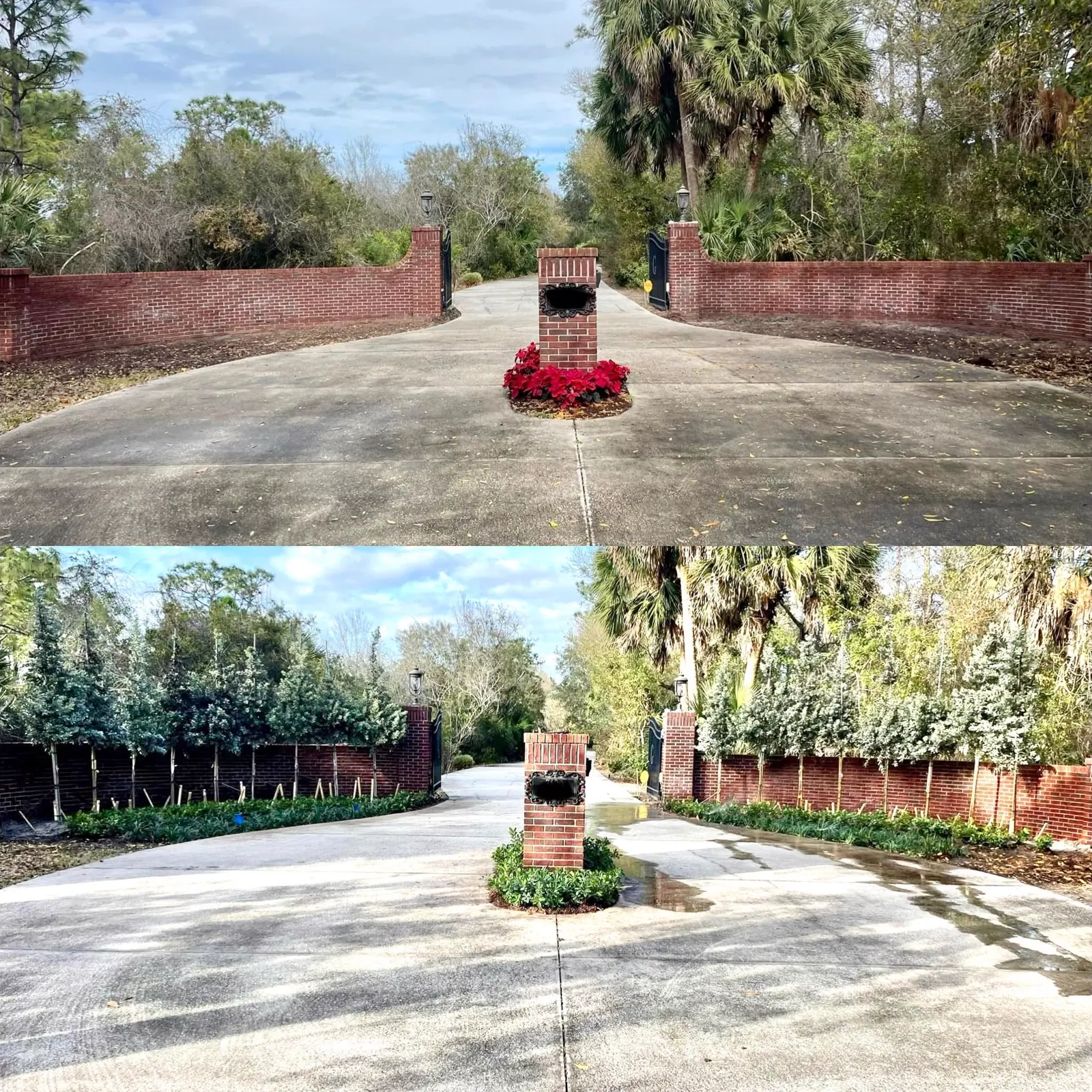 Gated driveway entrance planted with new trees and hedges in Brevard County