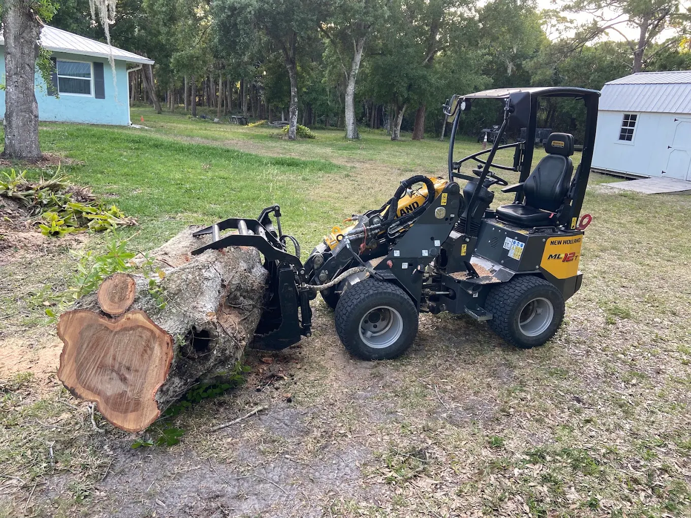 Compact loader removing a large stump from a Brevard County yard
