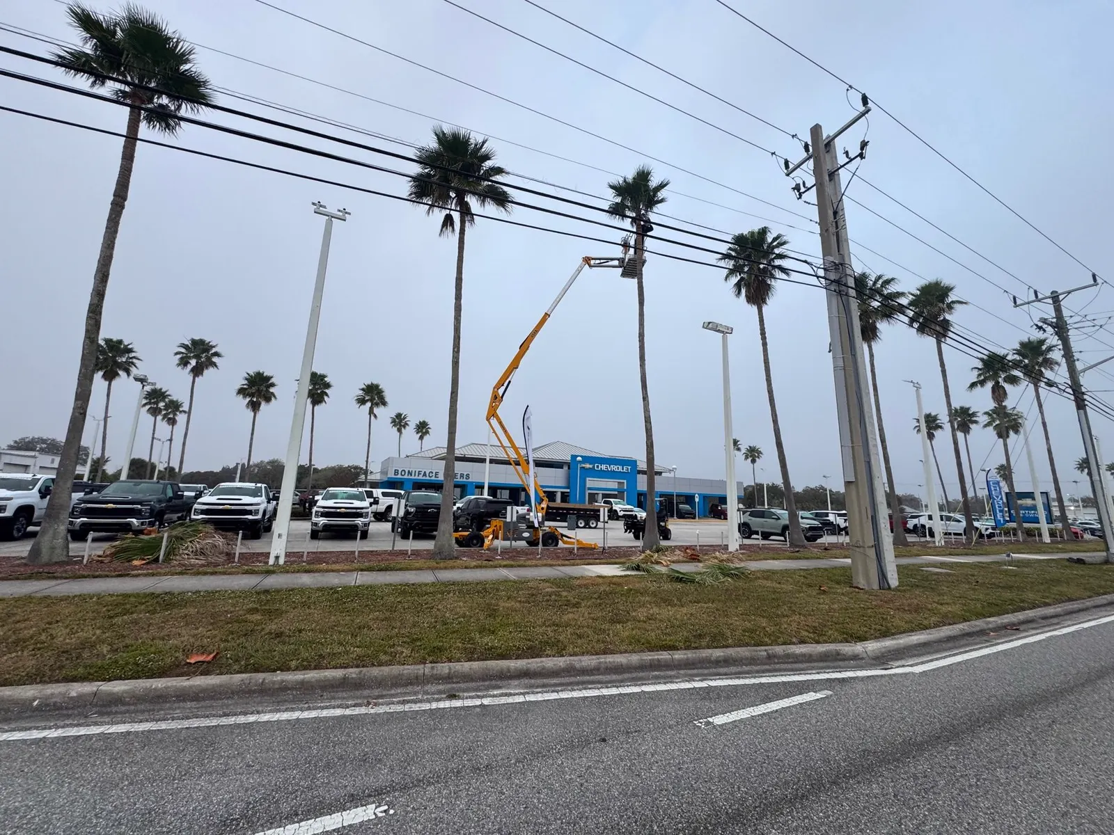 Bucket truck trimming palms along a commercial property in Melbourne FL