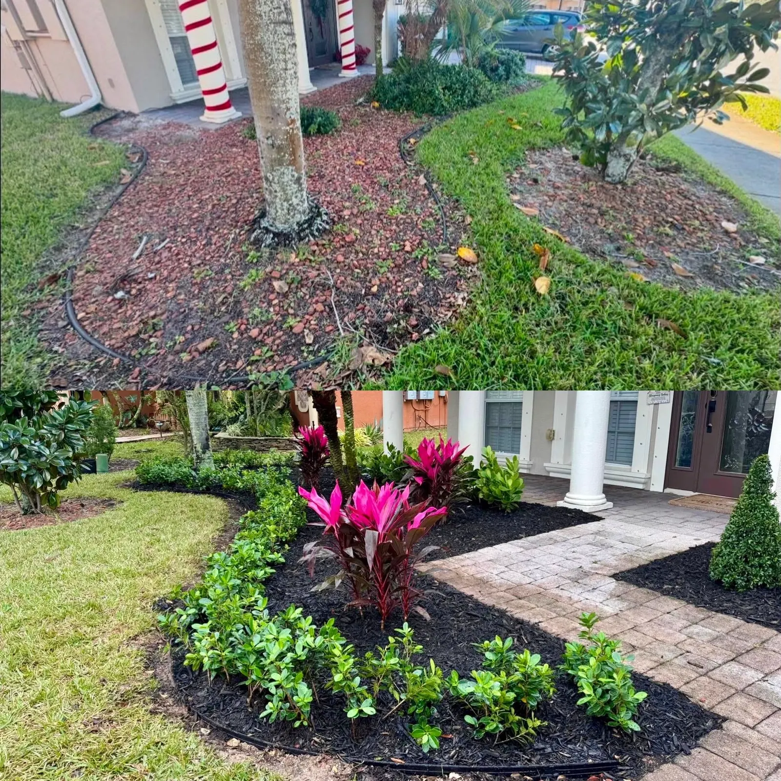 Front entry planting bed makeover with fresh mulch at a Melbourne FL home